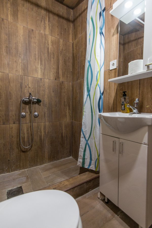 Bathroom sink and shower